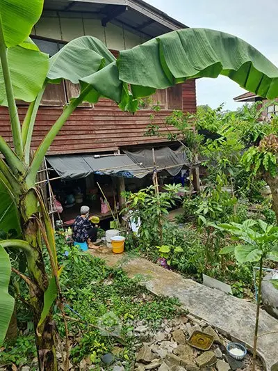 Charming rustic wooden house with lush garden and banana trees, perfect for nature lovers seeking tranquility.