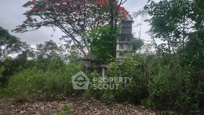 Explore this lush, overgrown plot with potential for development, surrounded by greenery and mature trees.