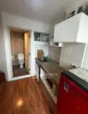 Compact kitchen with wooden flooring and adjacent bathroom in modern apartment.