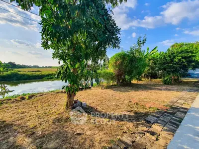 Beautiful garden with lush greenery and serene water view, perfect for nature lovers.