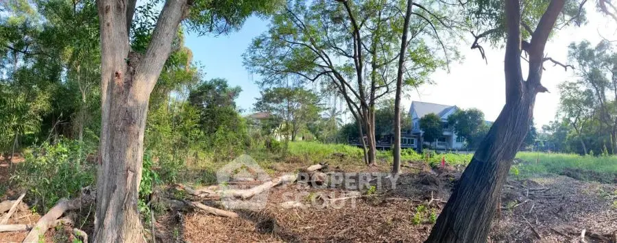 Expansive land plot with lush greenery and distant house, perfect for development.