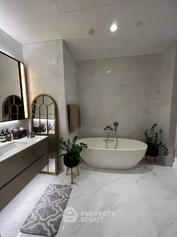 image_rental-31721243