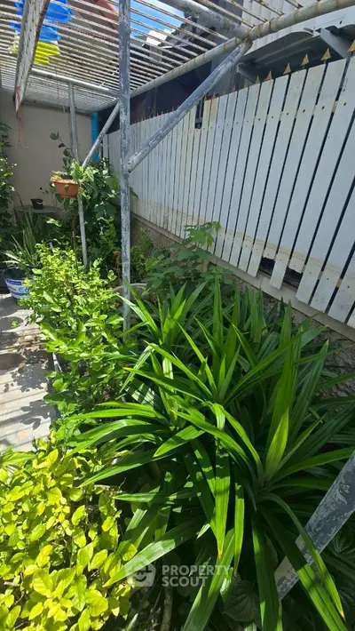 image_rental-27159938