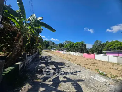 Scenic view of a rural road lined with trees and colorful fences under a clear blue sky.