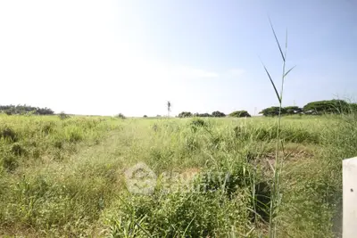 Expansive green field under clear blue sky, perfect for development opportunities.