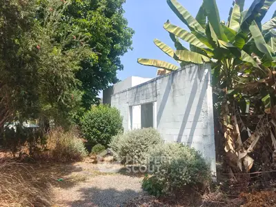 Charming exterior view of a quaint property surrounded by lush greenery and tropical plants.