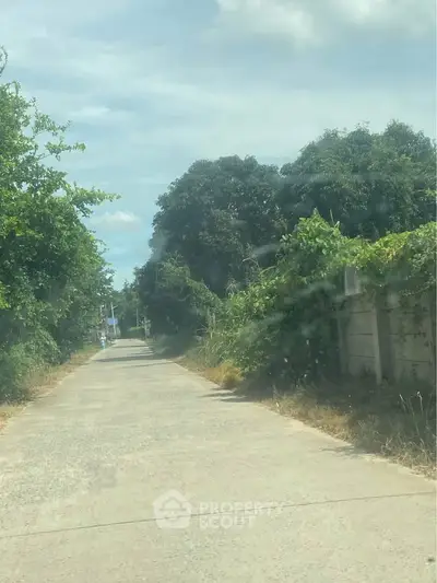 Scenic rural road with lush greenery and clear sky