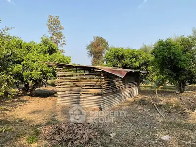 Rustic wooden shed surrounded by lush greenery in a serene rural setting.