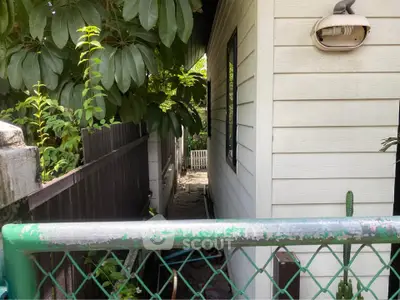 Charming side pathway of a cozy home with lush greenery and white siding.