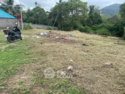 Spacious land plot with lush greenery and mountain views, ideal for development.