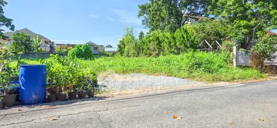 Vacant land plot with lush greenery and road access, ideal for development.
