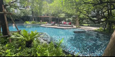 Luxurious residential pool surrounded by lush greenery and modern design.