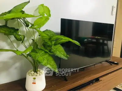 Modern living room with sleek TV and lush potted plant on wooden console.