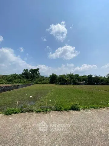 Expansive land plot with lush greenery and clear blue sky, perfect for development opportunities.
