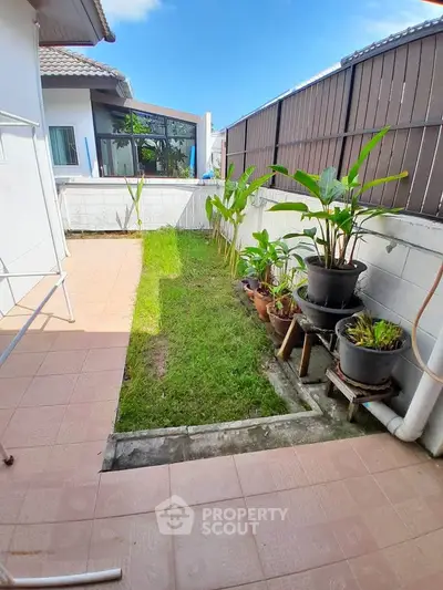 image_rental-31413913