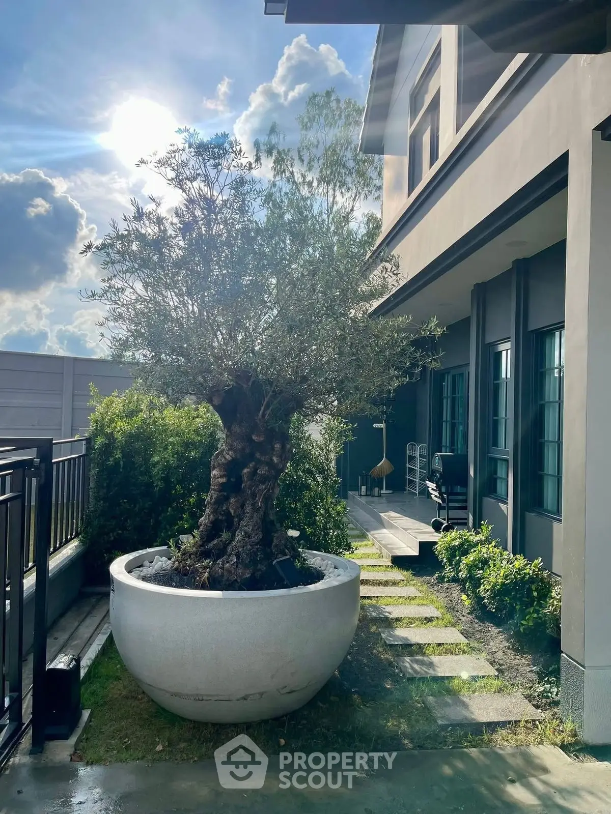 Stunning modern home exterior with lush garden and large potted tree, perfect for serene living.