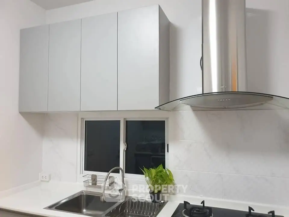 Modern kitchen with sleek cabinets and gas stove, featuring a stylish range hood and a small potted plant.