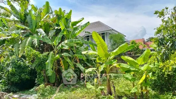 image_rental-29606802