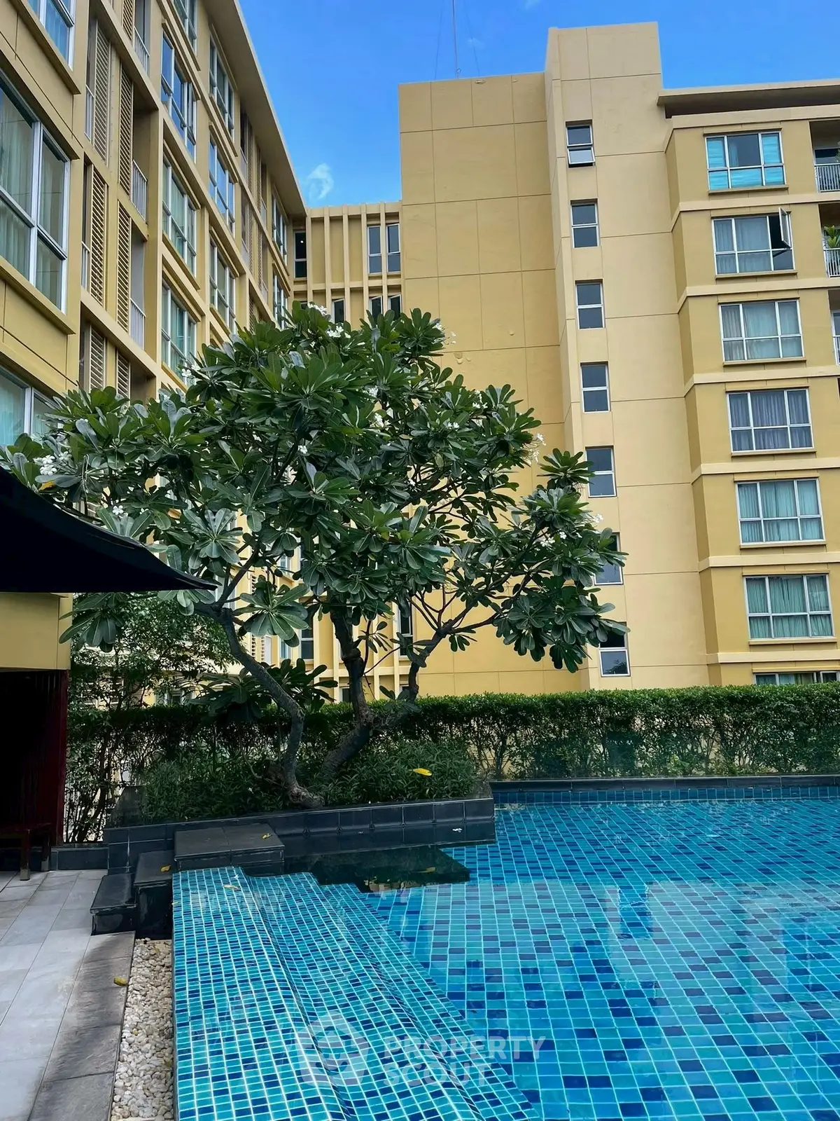 Modern apartment building with a serene poolside view and lush greenery.