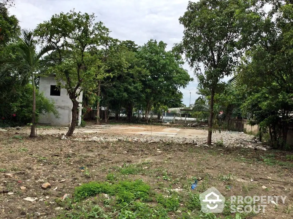 Spacious vacant land with lush greenery, ideal for development in a serene neighborhood.