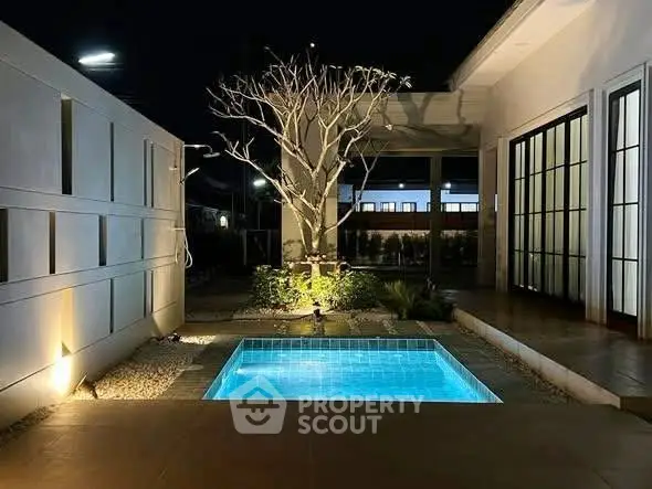 Stunning modern courtyard with illuminated plunge pool and elegant landscaping at night.