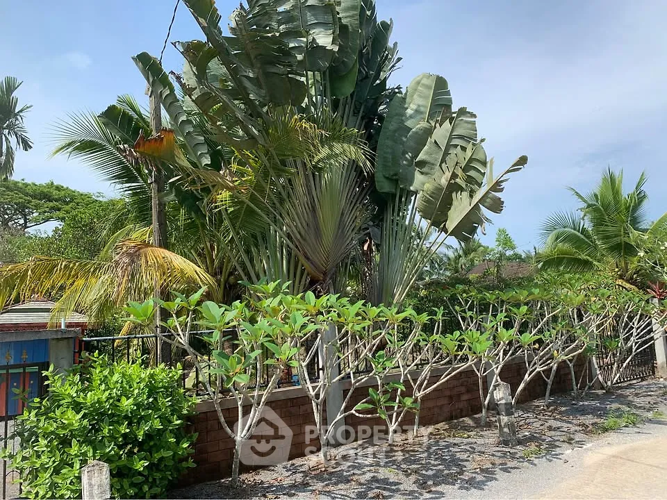 Lush tropical garden with vibrant greenery and palm trees, perfect for serene outdoor living.
