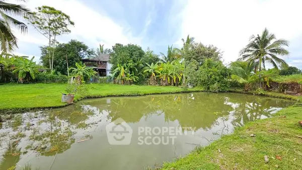 image_rental-27729209