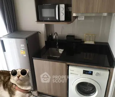 Modern compact kitchen with sleek appliances and stylish cabinetry