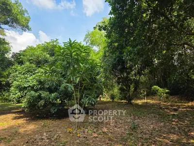 Lush green garden with mature trees and open sky, perfect for nature lovers seeking tranquility.
