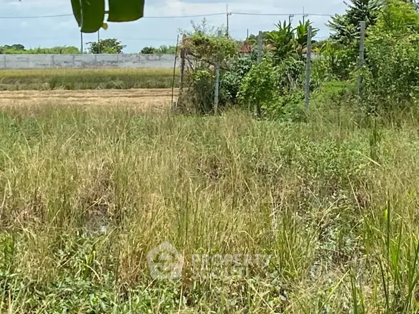 image_rental-14578896