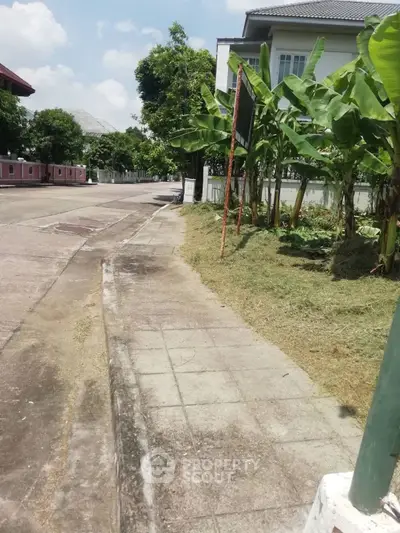Charming suburban street view with lush greenery and modern houses, perfect for peaceful living.