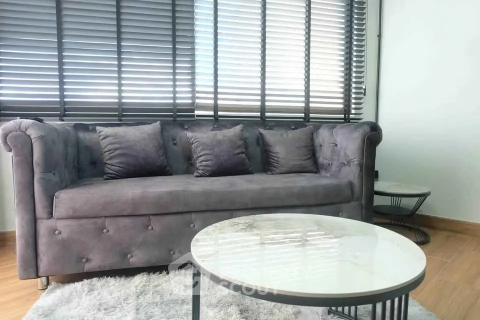 Stylish living room with plush gray sofa and modern coffee table