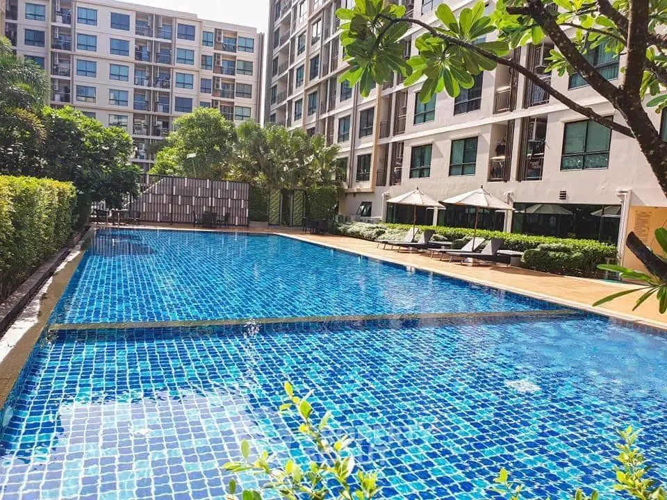 Luxurious condominium pool area with sun loungers and lush greenery, perfect for relaxation and leisure.