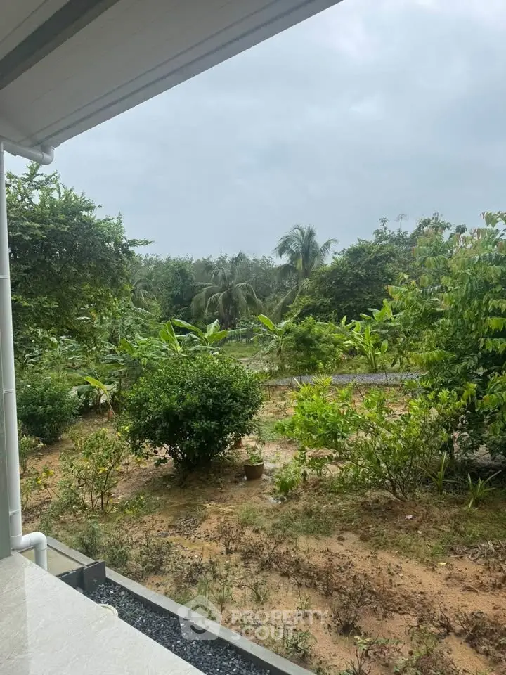 Lush garden view from a cozy home, perfect for nature lovers seeking tranquility.