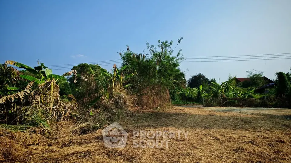Spacious land plot with lush greenery and clear blue sky, perfect for development opportunities.