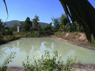 Scenic view of a serene pond surrounded by lush greenery and distant hills, perfect for nature lovers.
