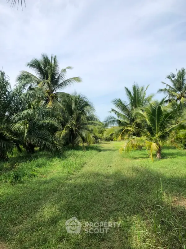 image_rental-11324201