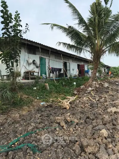 Rural residential building with tropical surroundings and rustic charm