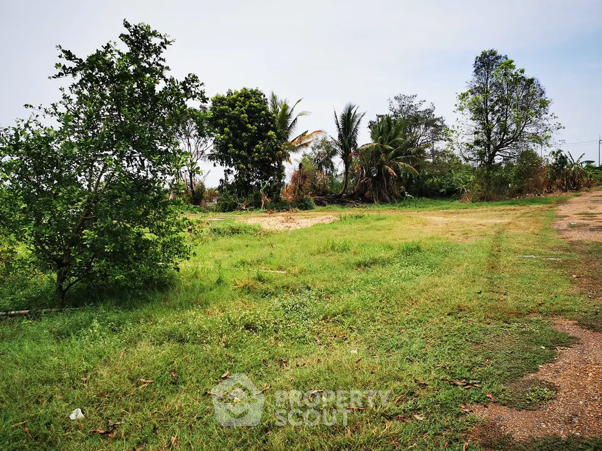 Expansive green land with lush trees, perfect for development or investment opportunities.