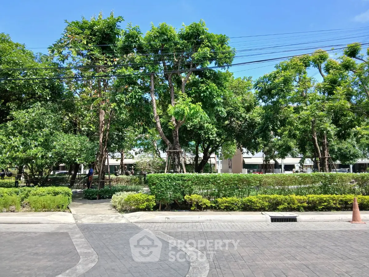 Lush green garden with trees and shrubs in a serene residential area.