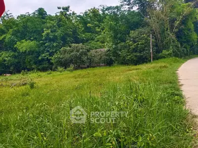 Scenic plot of land with lush greenery and a paved path, ideal for development.