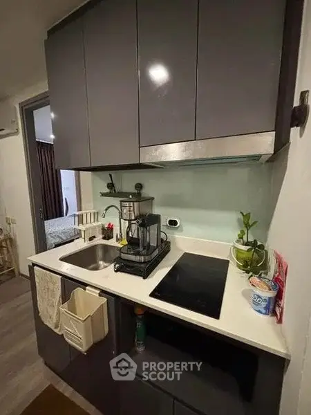 Modern compact kitchen with sleek cabinetry and induction cooktop