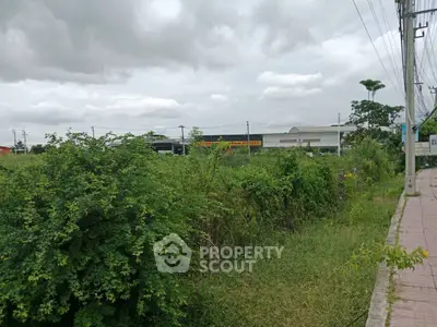 image_rental-29342250