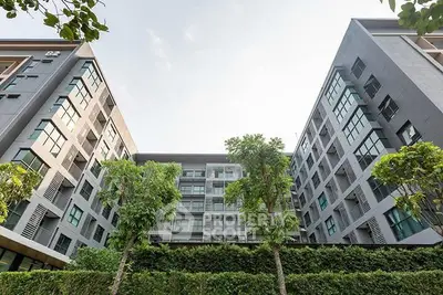 image_rental-30169361