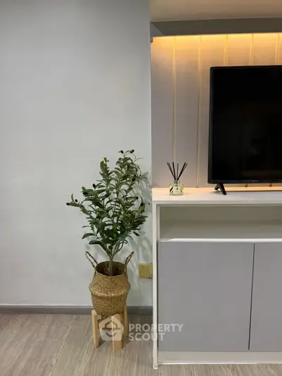 Modern living room corner with stylish TV stand and decorative plant