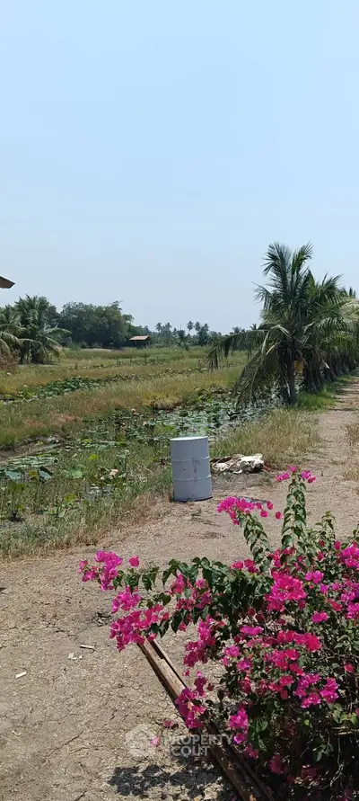 Scenic rural landscape with lush greenery and vibrant flowers, ideal for serene living or agricultural development.