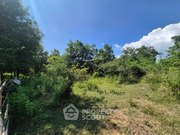 image_rental-30569792