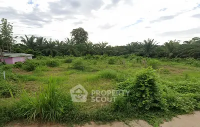 image_rental-28029159