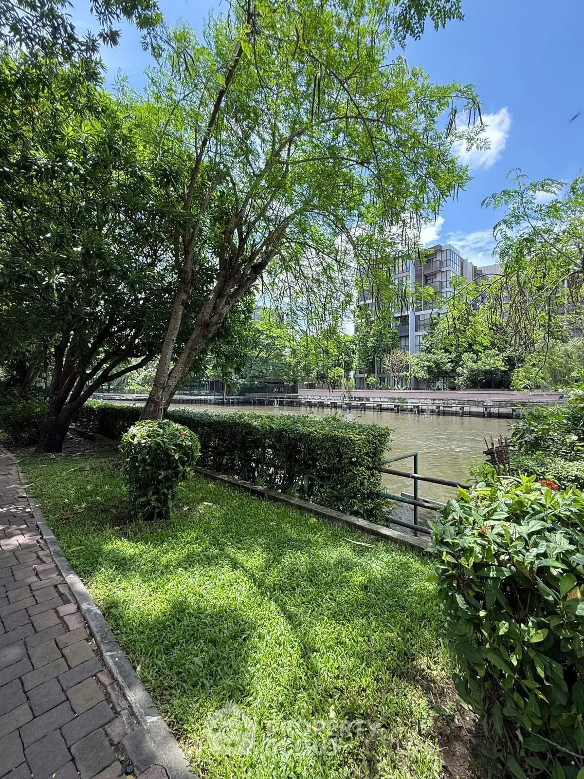 Serene riverside garden with lush greenery and scenic views.