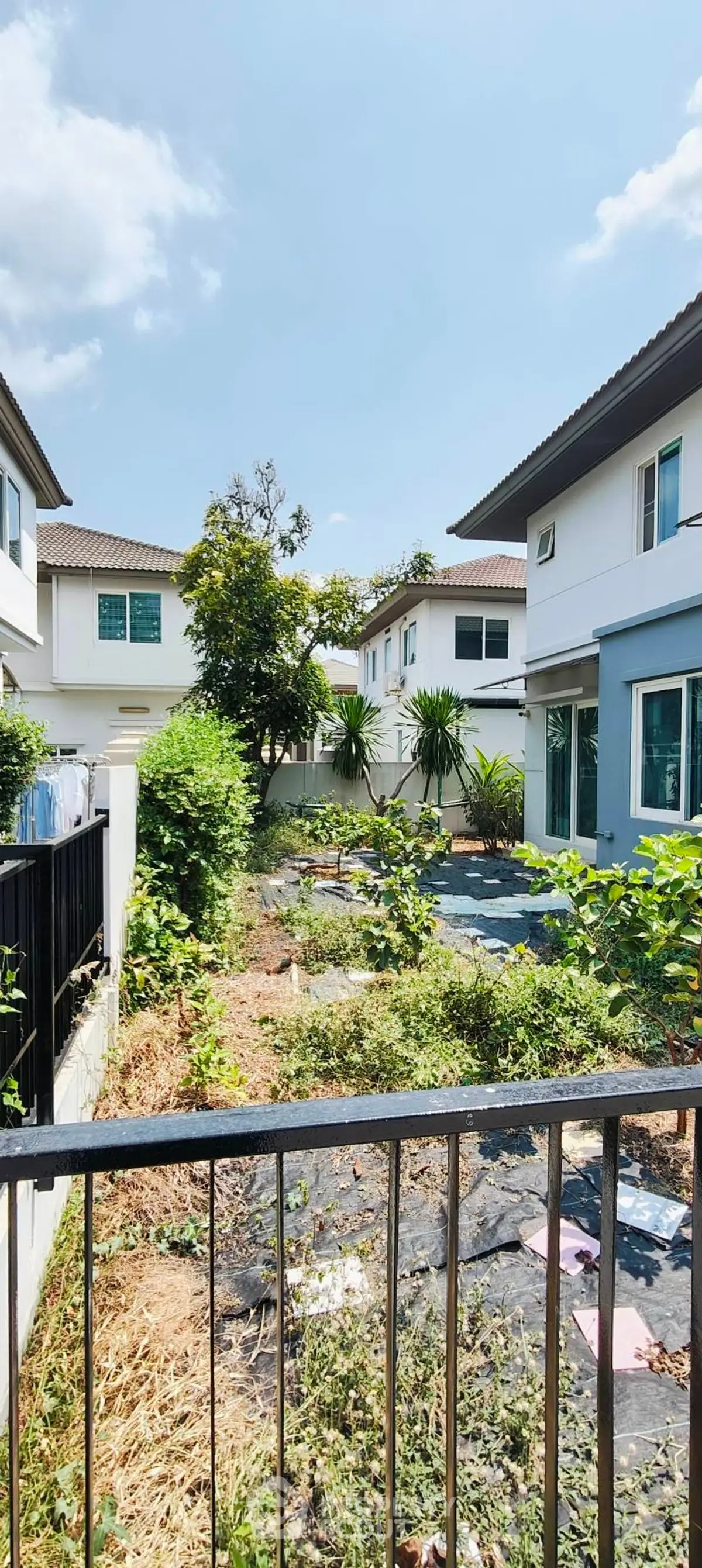 Charming suburban garden view with modern houses and lush greenery under a clear blue sky.
